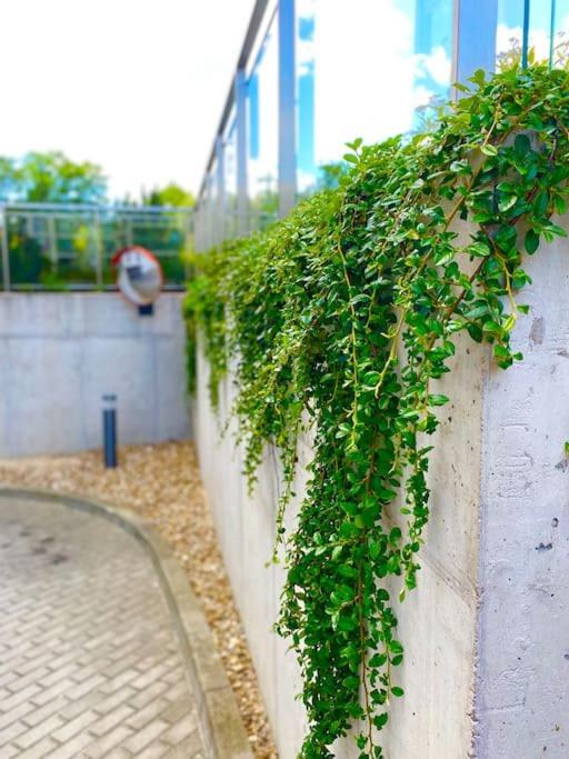 Smart Art :) Z Bezplatnym Parkingiem Podziemnym Apartman Kielce Kültér fotó