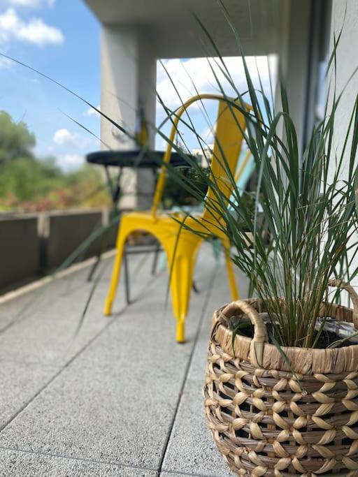 Smart Art :) Z Bezplatnym Parkingiem Podziemnym Apartman Kielce Kültér fotó