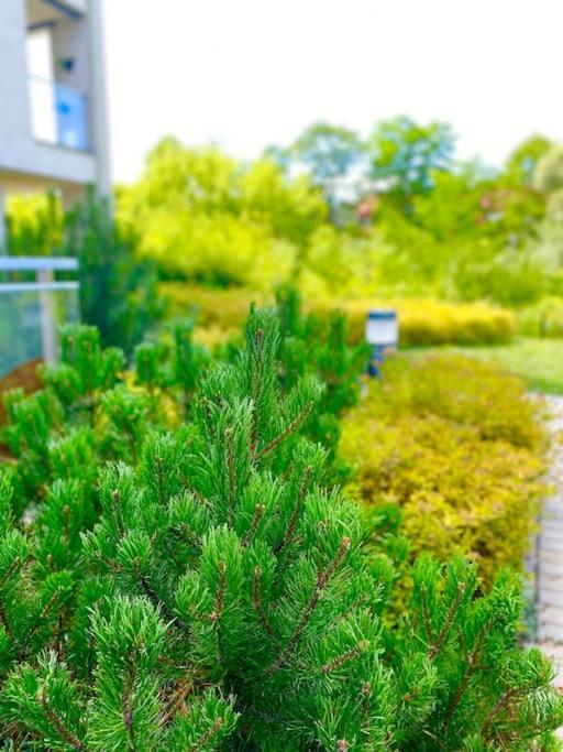 Smart Art :) Z Bezplatnym Parkingiem Podziemnym Apartman Kielce Kültér fotó